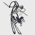 The Flying Zebra Charm